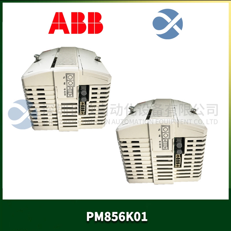 PM866AK01