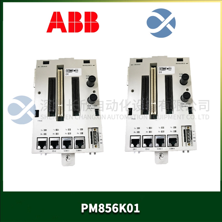 PM866AK01