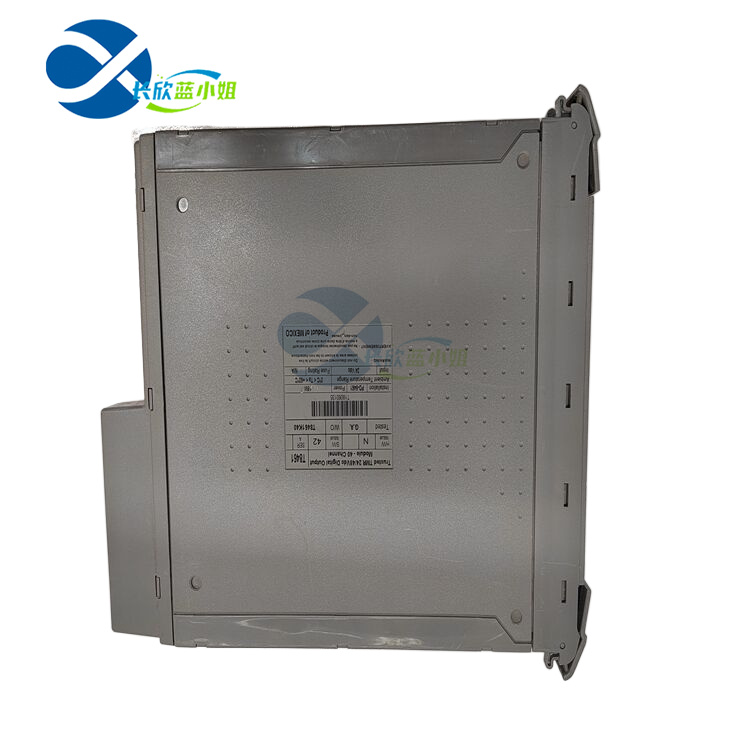 ICS TRIPLEX T8461 視頻墻模塊