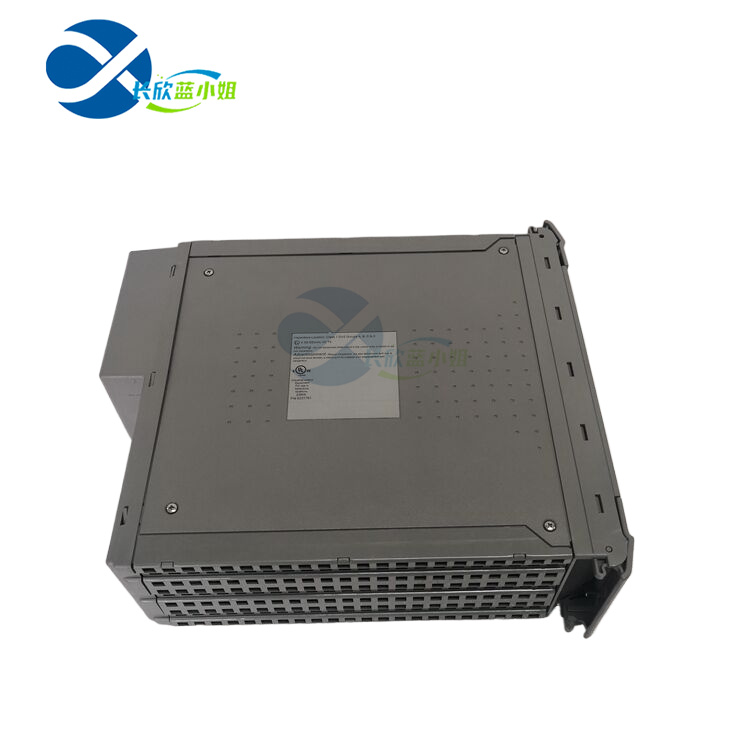 ICS TRIPLEX T8110B 輸入輸出模塊