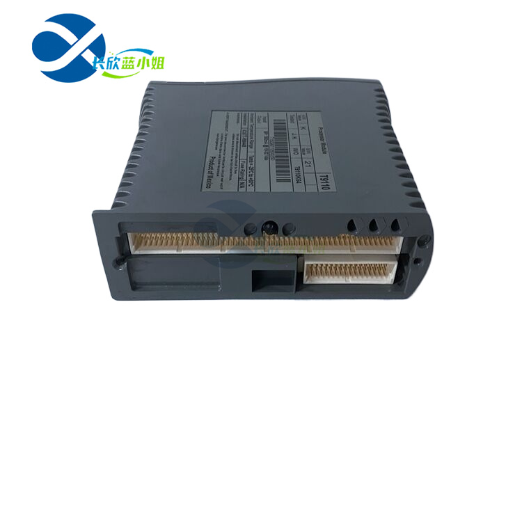 ICS TRIPLEX T9110 通信接口模塊