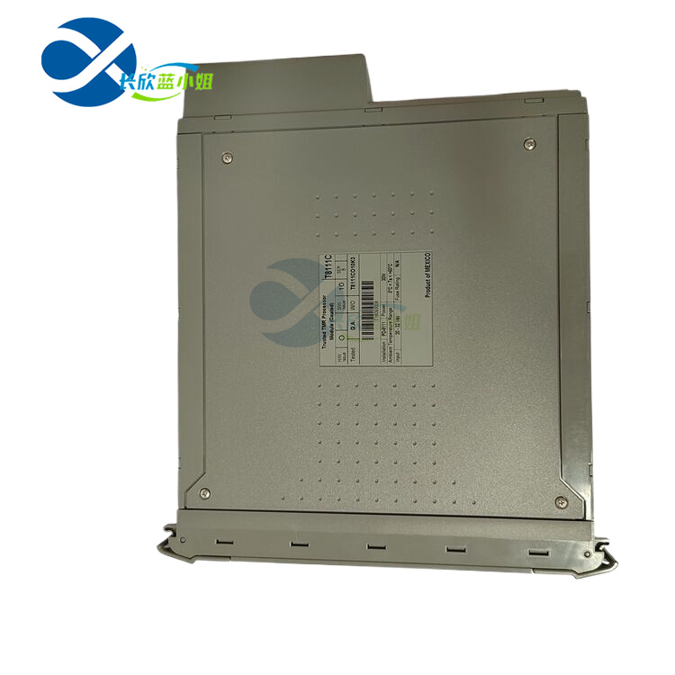 ICS TRIPLEX T8111C 模數(shù)轉(zhuǎn)換器