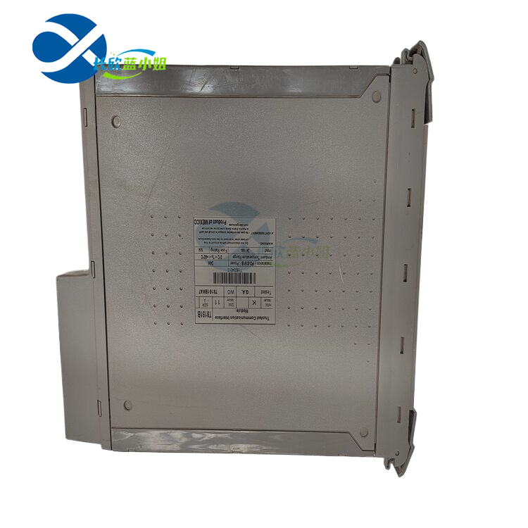 ICS TRIPLEX T8173 PLC 模塊