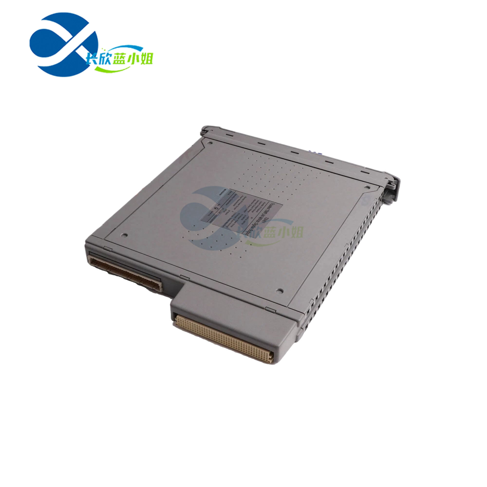 ICS TRIPLEX T9100 I/O模塊