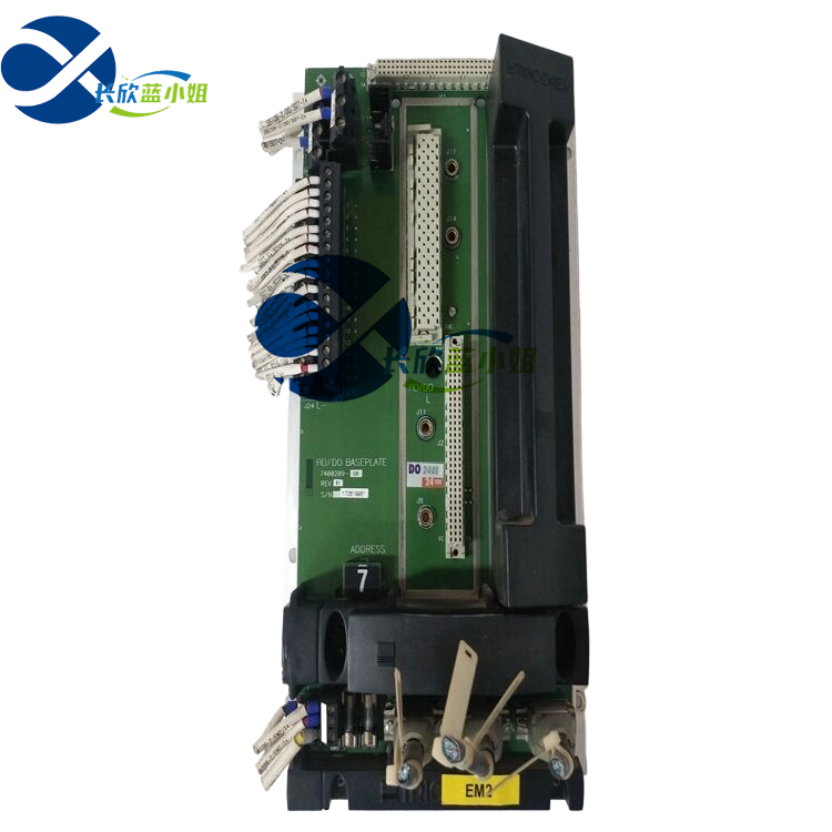 TRICONEX 2401 安全控制器支持?jǐn)?shù)字或模擬輸出