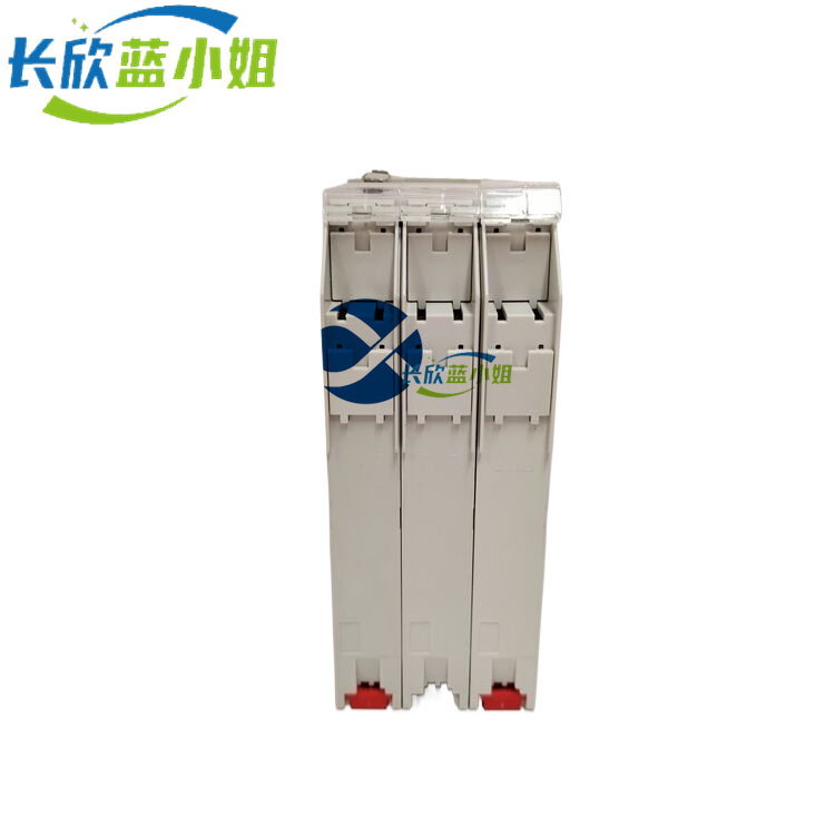 HS810