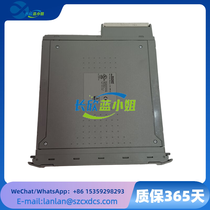 T8431系列ICS TRIPLEX 應用接收和處理模擬信號模塊